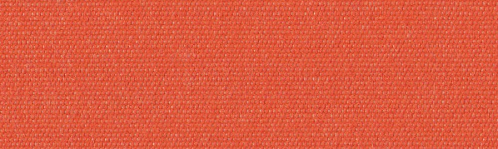 1013245_Orchestra-MAX